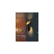 Madeira 1 Light 7 inch Black Matte Wall Sconce Wall Light