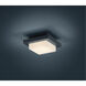 Hondo 1 Light 6 inch Dark Grey Outdoor Wall Light