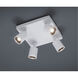 Cayman White 4.5 watt 4 Light Adjustable Spot Light