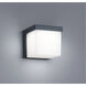 Yangtze 1 Light 5 inch Dark Grey Outdoor Wall Light