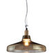 Dover 1 Light 16 inch Transparent Pendant Ceiling Light