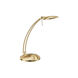 Dessau 1 Light 15.75 inch Desk Lamp